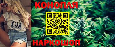 мдпв Кандалакша